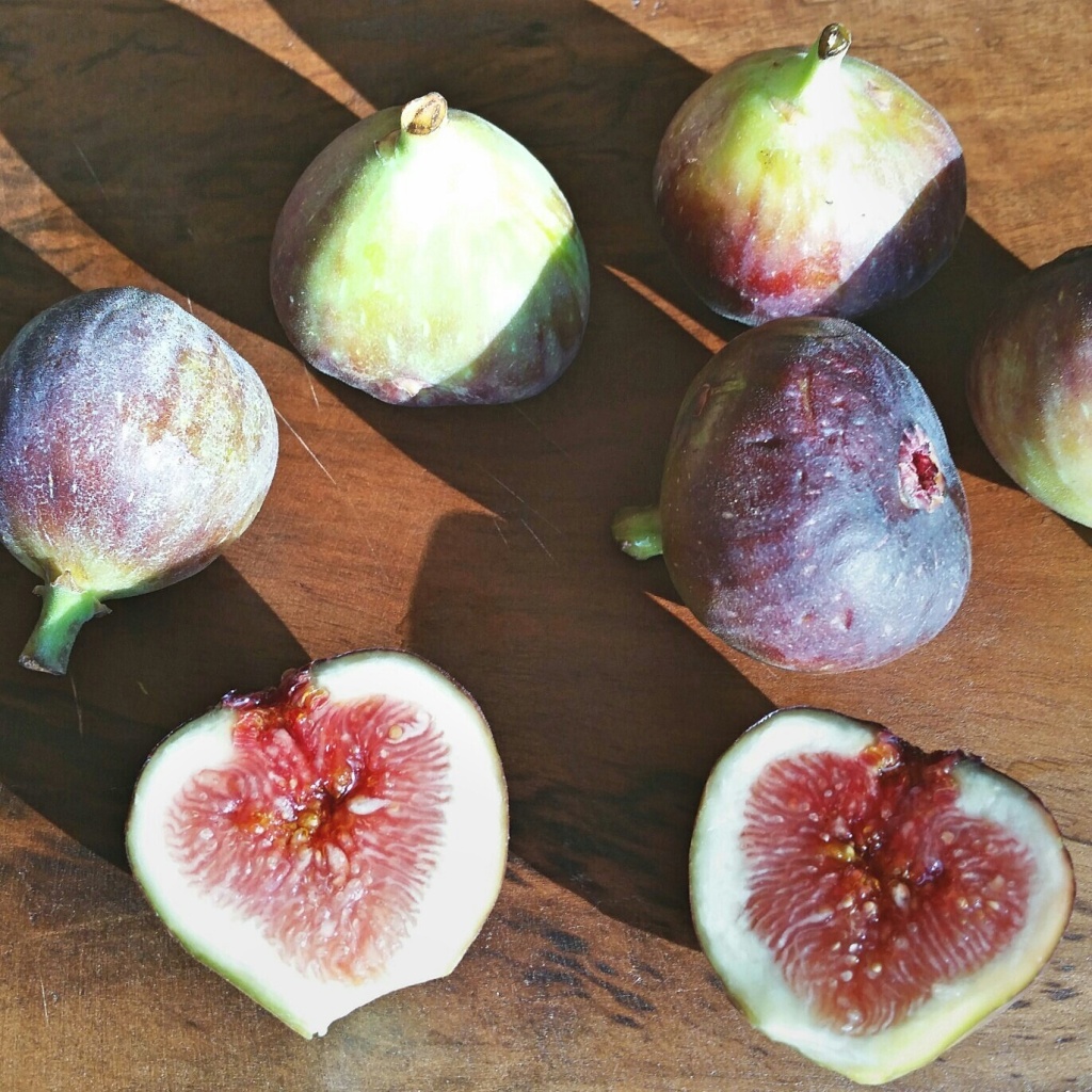 figs