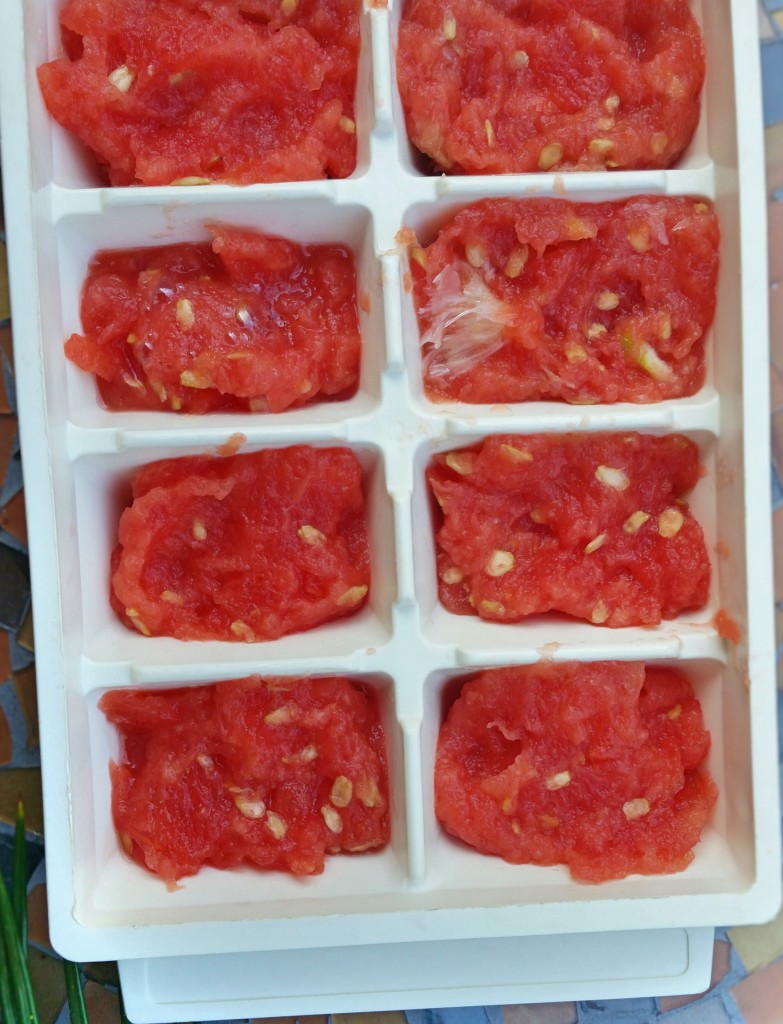 Clovers & Kale - Watermelon Fresca - No Waste - Pulp Ice cubes